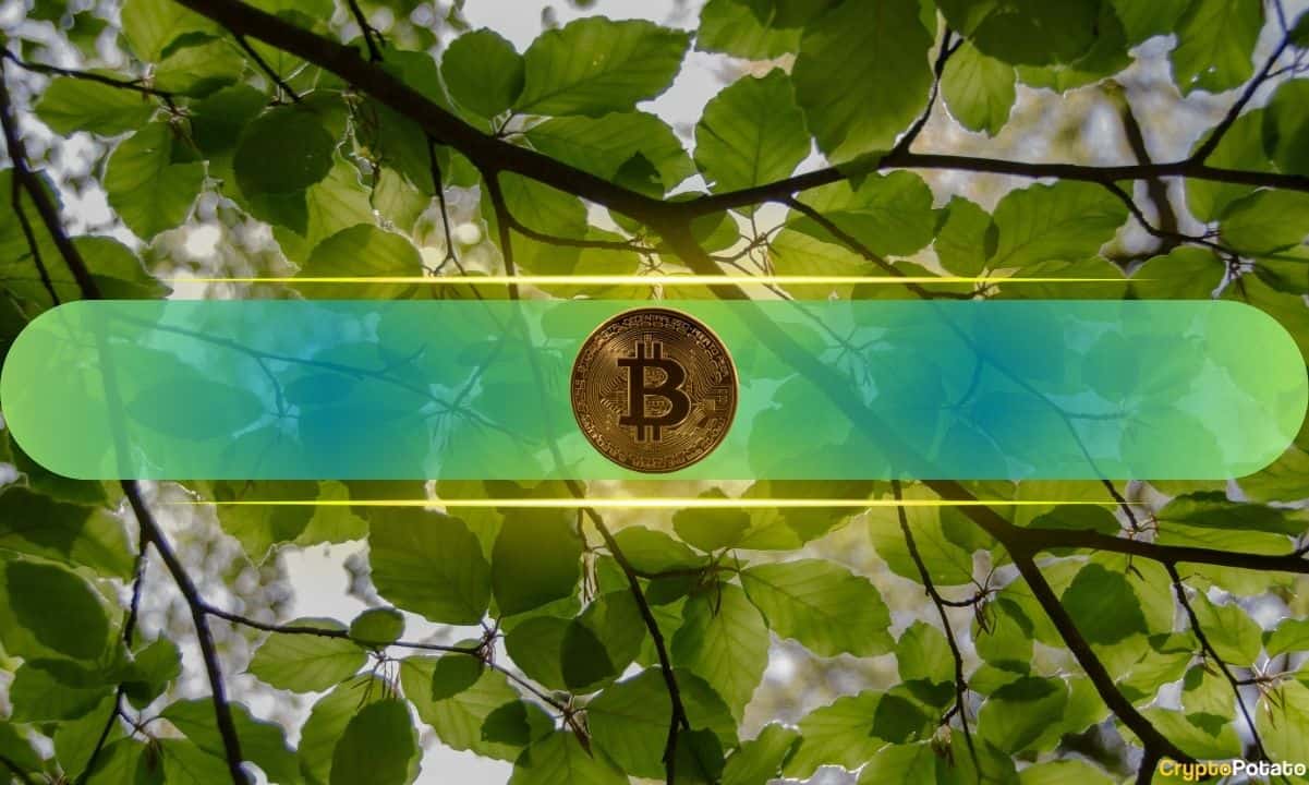4 Key Reasons Behind Bitcoin’s (BTC) Rally Above $66K