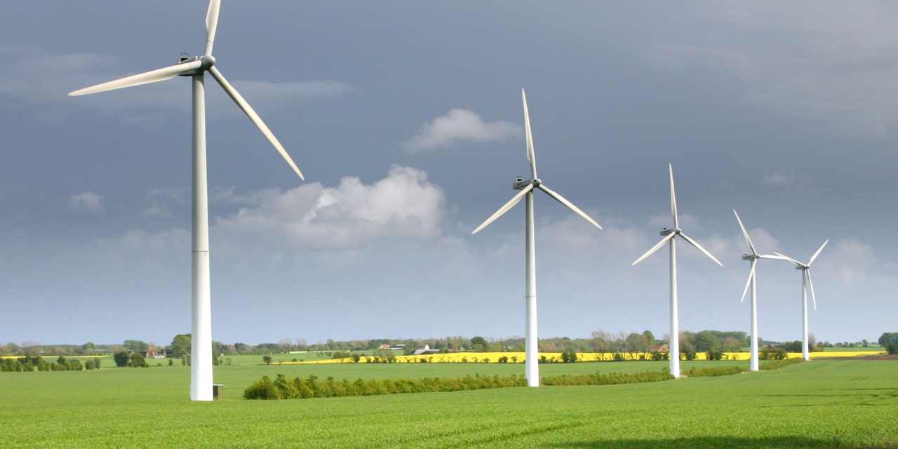 Advisors Reveal Their Favorite Sectors and Managers Among Impact Investments Now