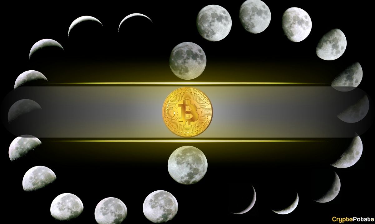 Analyst Says Waiting for Bitcoin’s Four-Year Cycle Bottom Could Be a Costly Mistake