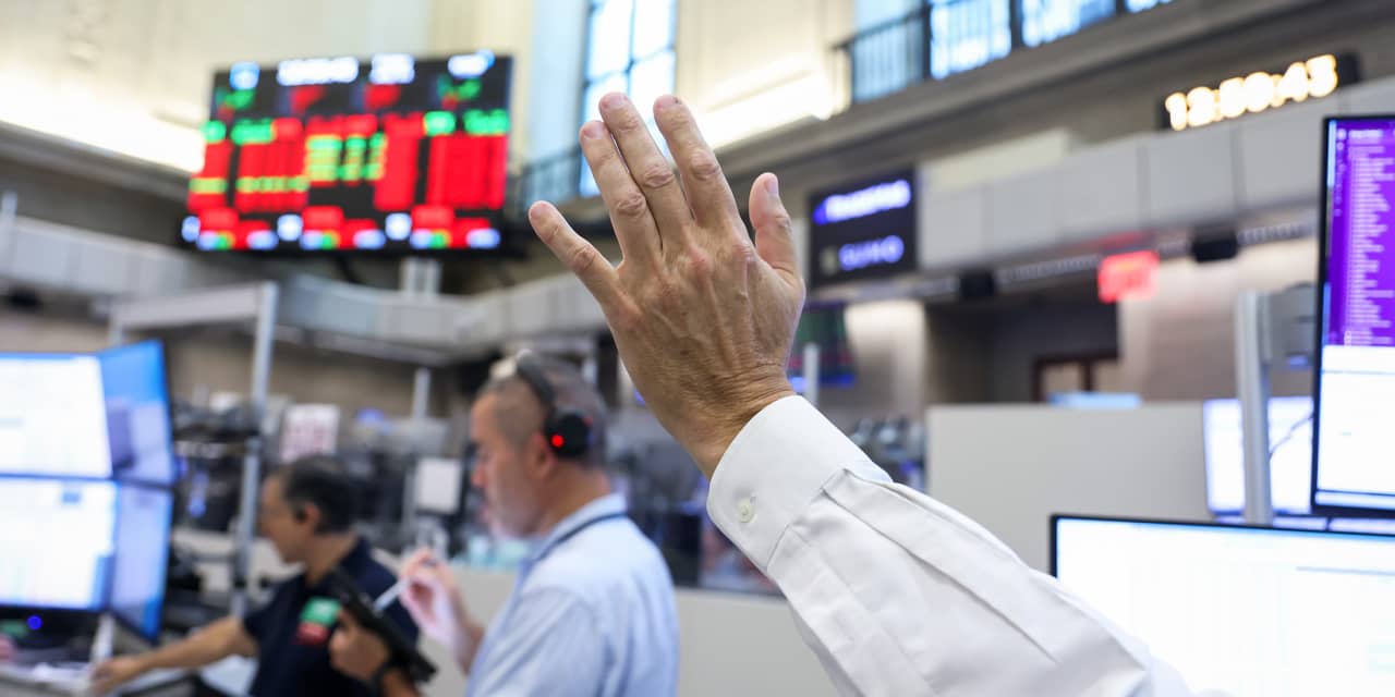 Big Tech Stocks Could Extend Rally After ‘Momentum Shock’
