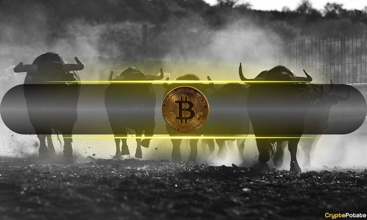 Bitcoin Analysts Are More Bullish Now Than at the Start of the 2023 Bull Market: CryptoQuant