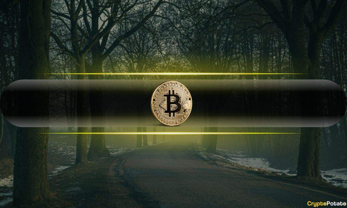 Bitcoin and Gold Are Bleeding – So Where Is the Money Going?