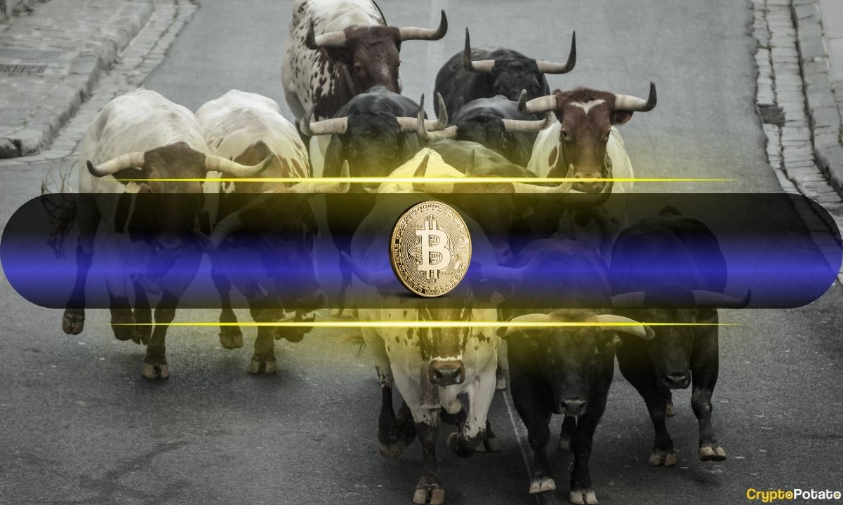 Bitcoin Just Triggered Three Rare Signals That Previously Marked Market Bottoms