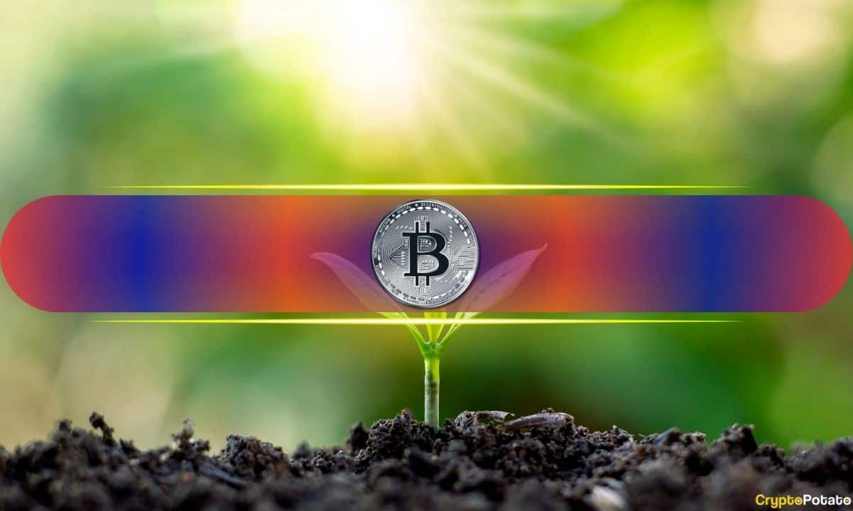 Bitcoin’s 200-Week MA Is Back in Play: Why It Matters for BTC’s Price