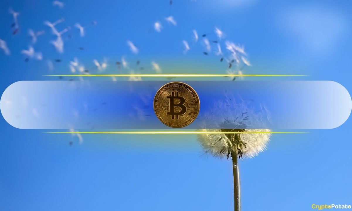 Bitcoin’s Sharpe Ratio Signals an ‘Optimal’ Spot Accumulation Window