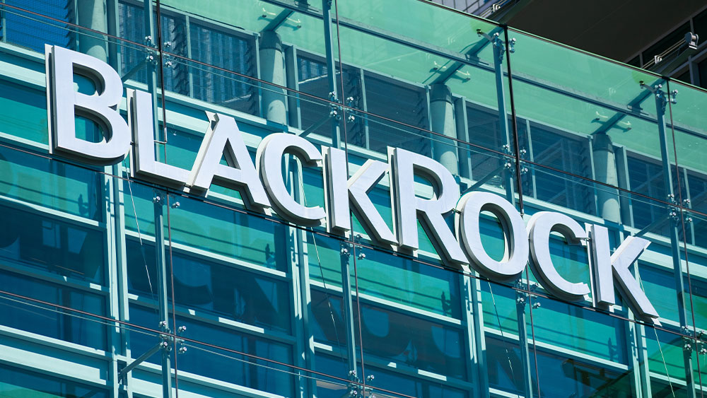 BlackRock's Fink Sees Market Strength, Momentum; Shares Jump