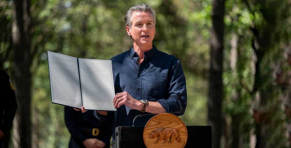 California Utility Stocks Plummet After Wildfire Legislation Announced