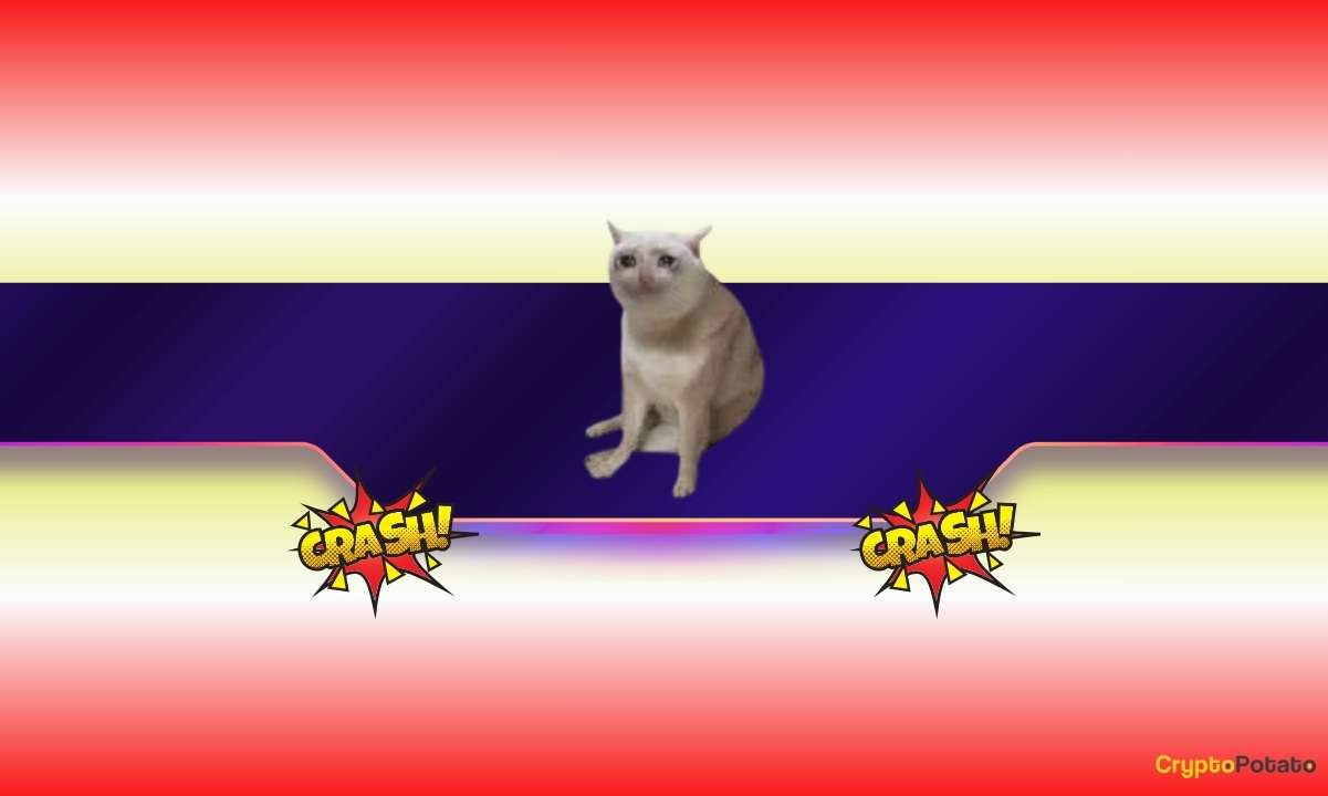 CASHCAT Plummets 65% in a Week: The Doom of Another Meme Coin or New Pump Loading?