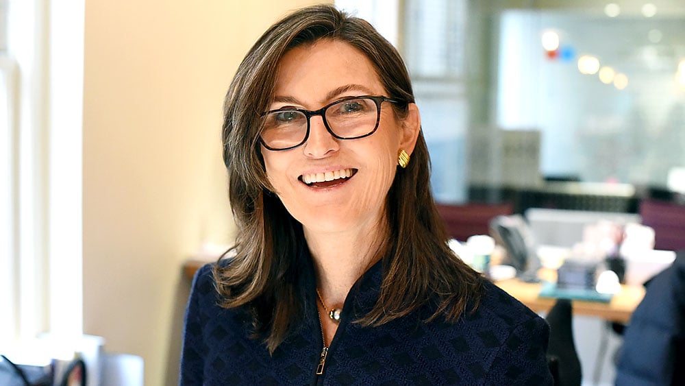 Cathie Wood Keeps The Faith; Rakes In Diving Tesla, SpaceX Shares