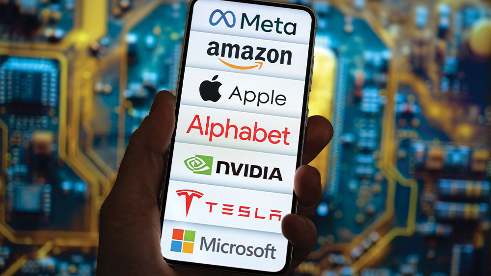 Cathie Wood Loads Up On Palantir, Cerebras, These Mag 7 Players