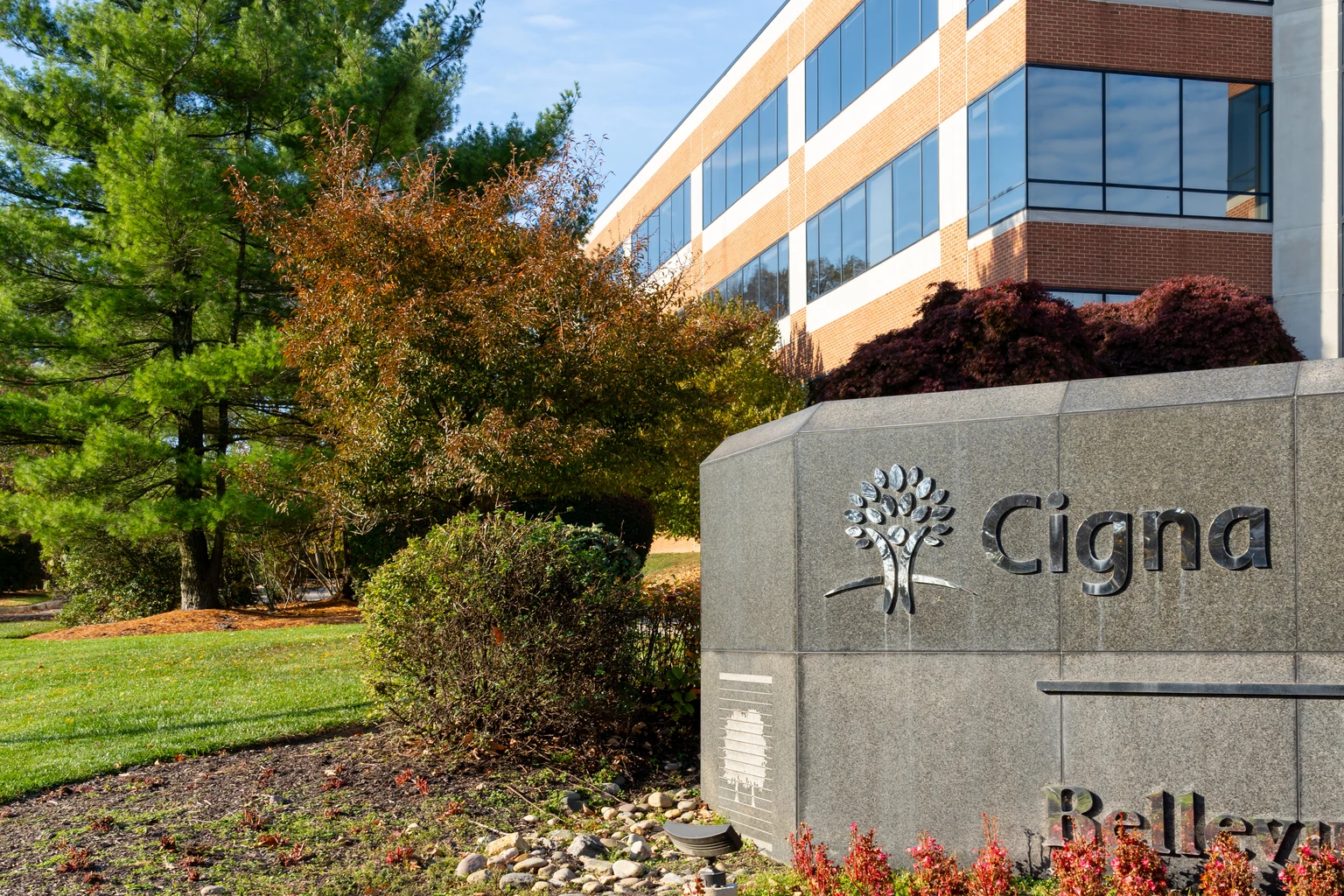 Cigna: I'm Buying What Others Are Ignoring