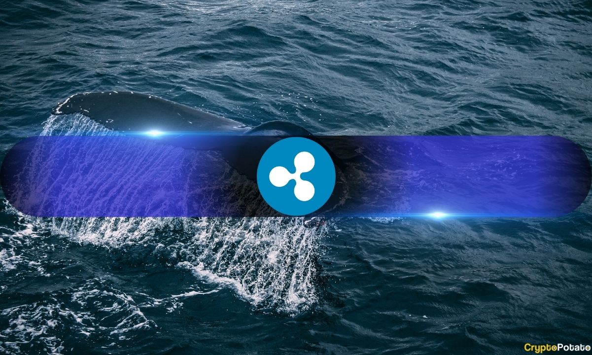 Classic Bullish XRP Pattern Emerges as Large Wallets Keep Accumulating