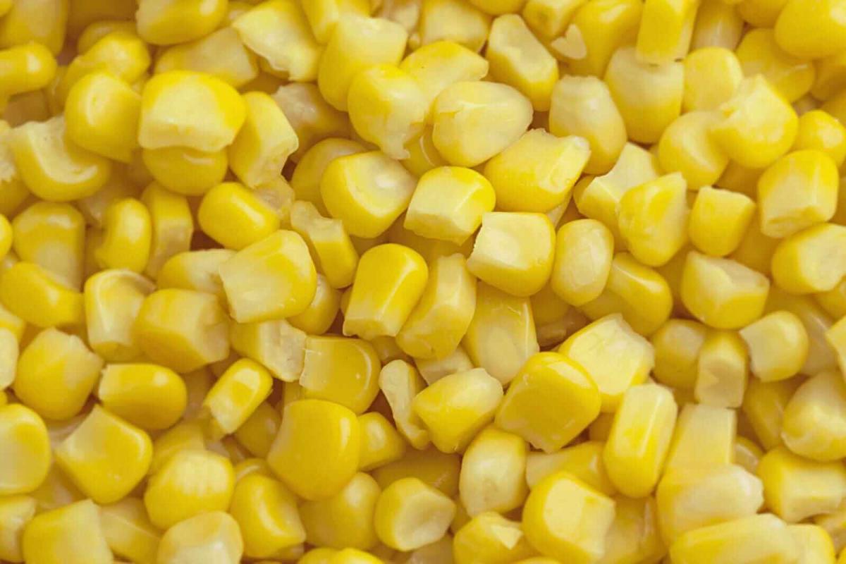 Corn Falls Back on Monday