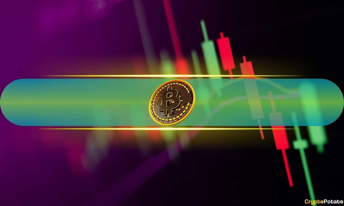 Crypto Markets Add $70B Daily as Bitcoin’s Price Hits Monthly High: Market Watch