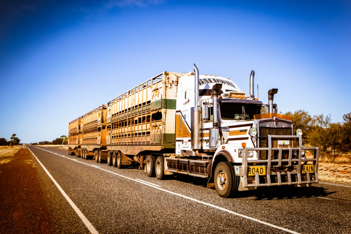 CSX Corporation (CSX) and Knight-Swift Transportation Holdings Inc. (KNX) Show the Freight Cycle Is Turning. Southwest Airlines Co. (LUV) Shows Fuel Costs Still Hurt Airlines.
