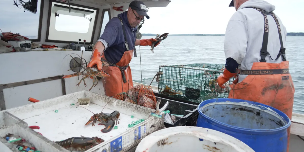 Diesel prices are so high that commercial fishermen sometimes can’t even afford to leave the dock. ‘It’s huge. It’s crazy. Thank you, Donald Trump’