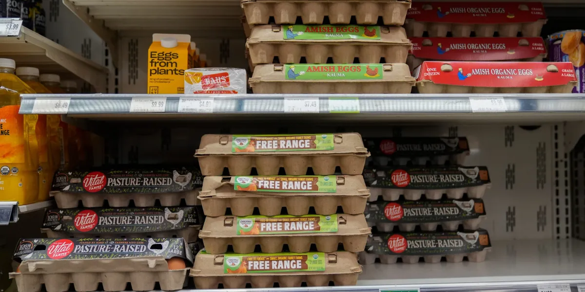 Egg companies made $1.22 billion in profit off a $6 carton — now they’re buying their way out of a price-fixing case with 53 million donated eggs