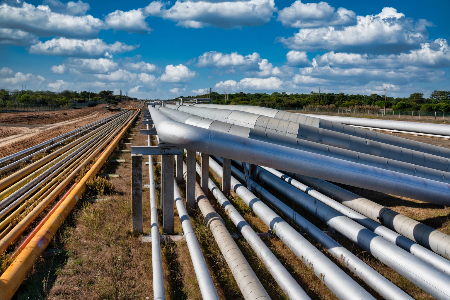Enterprise Products Partners: A Transition Year, But Halving Distribution Growth Hurts Momentum