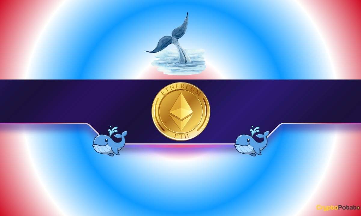 Ethereum Whales Just Woke Up as ETH Exploded to 8-Month High: What’s Next?