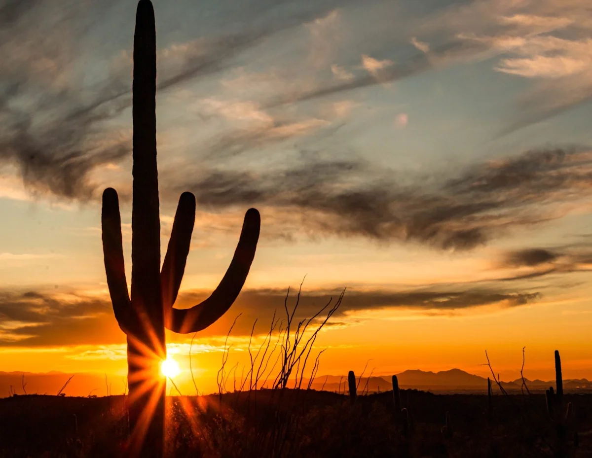 For Most Retirees, Only One Arizona City Actually Makes Sense. Here’s Which.
