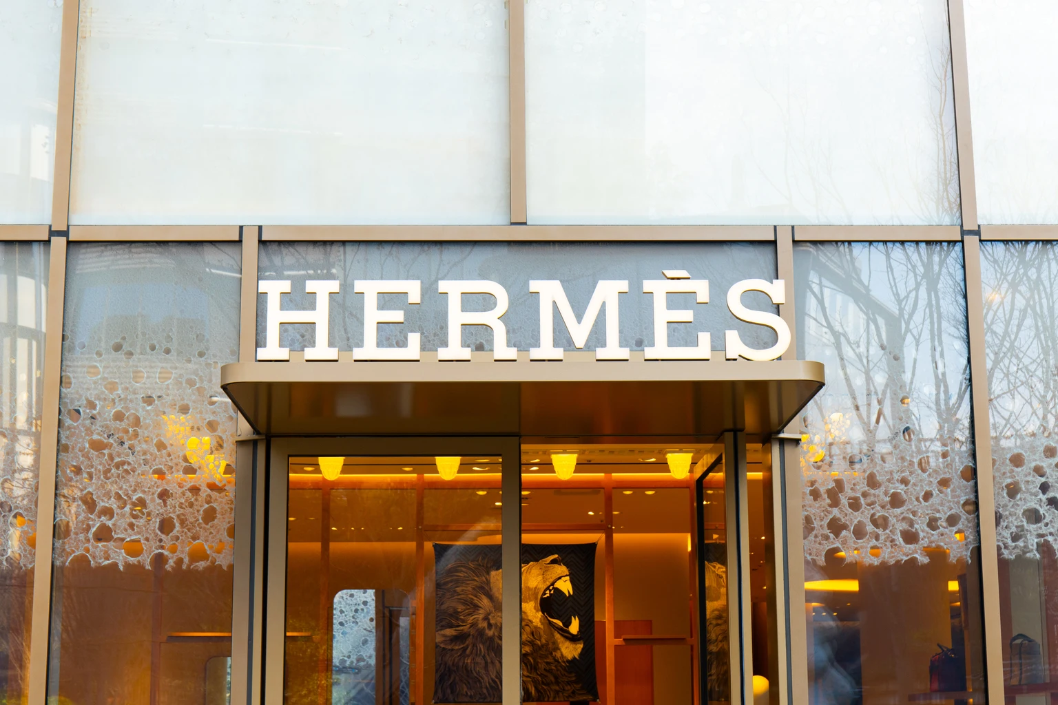 Hermès International: We Expect The Company To Continue This Trajectory Of Growth And Profitability