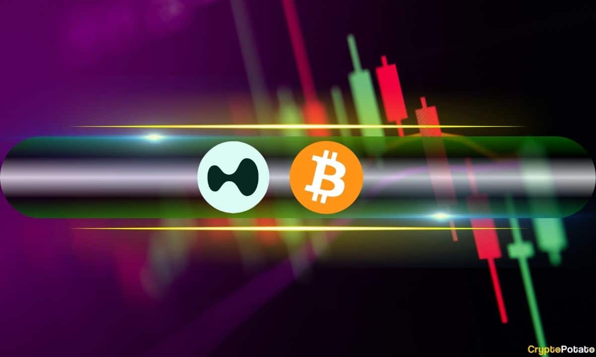 HYPE, ZEC Explode After Peace Deal Announcement, BTC Taps 12-Day High: Market Watch