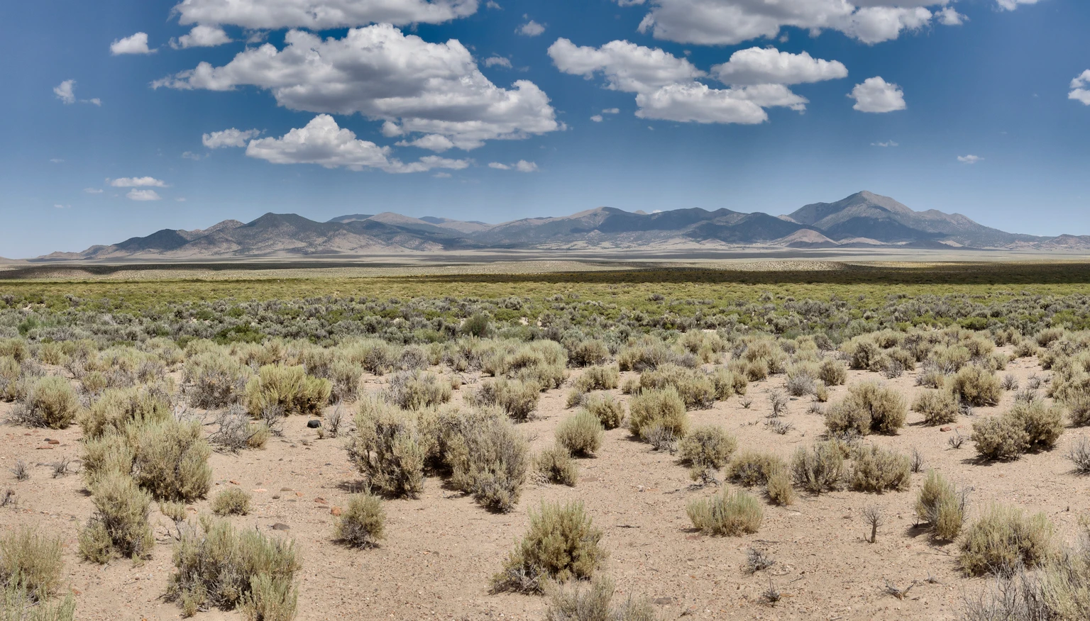 Integra Resources: Back On The Sale Rack