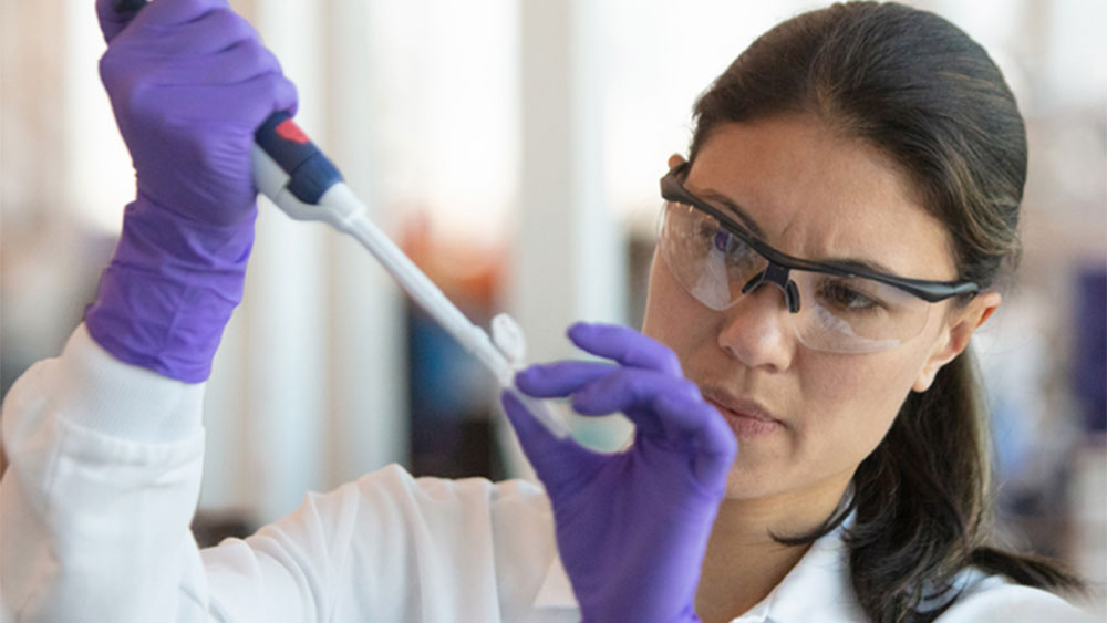 Merck Stock, JPMorgan And Two Others Hit New Highs