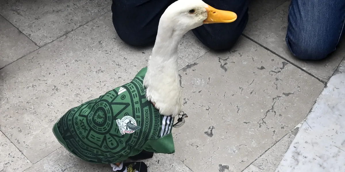 Merlin the Duck was allowed inside Mexico City’s Azteca Stadium, but only to film a commercial