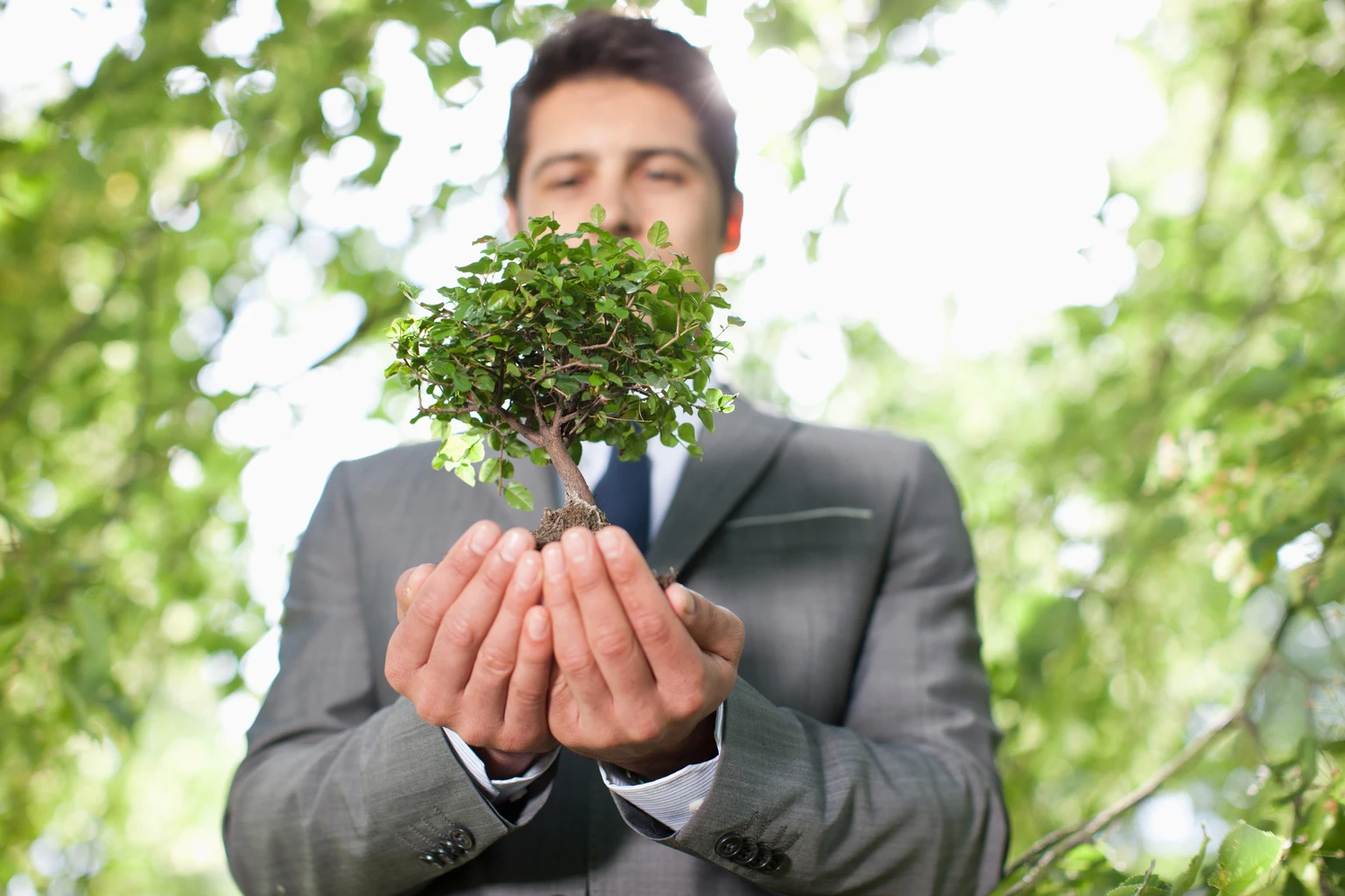 Mr. Market Can't See The Forest For The Trees (2 Beaten-Down Timber REITs)
