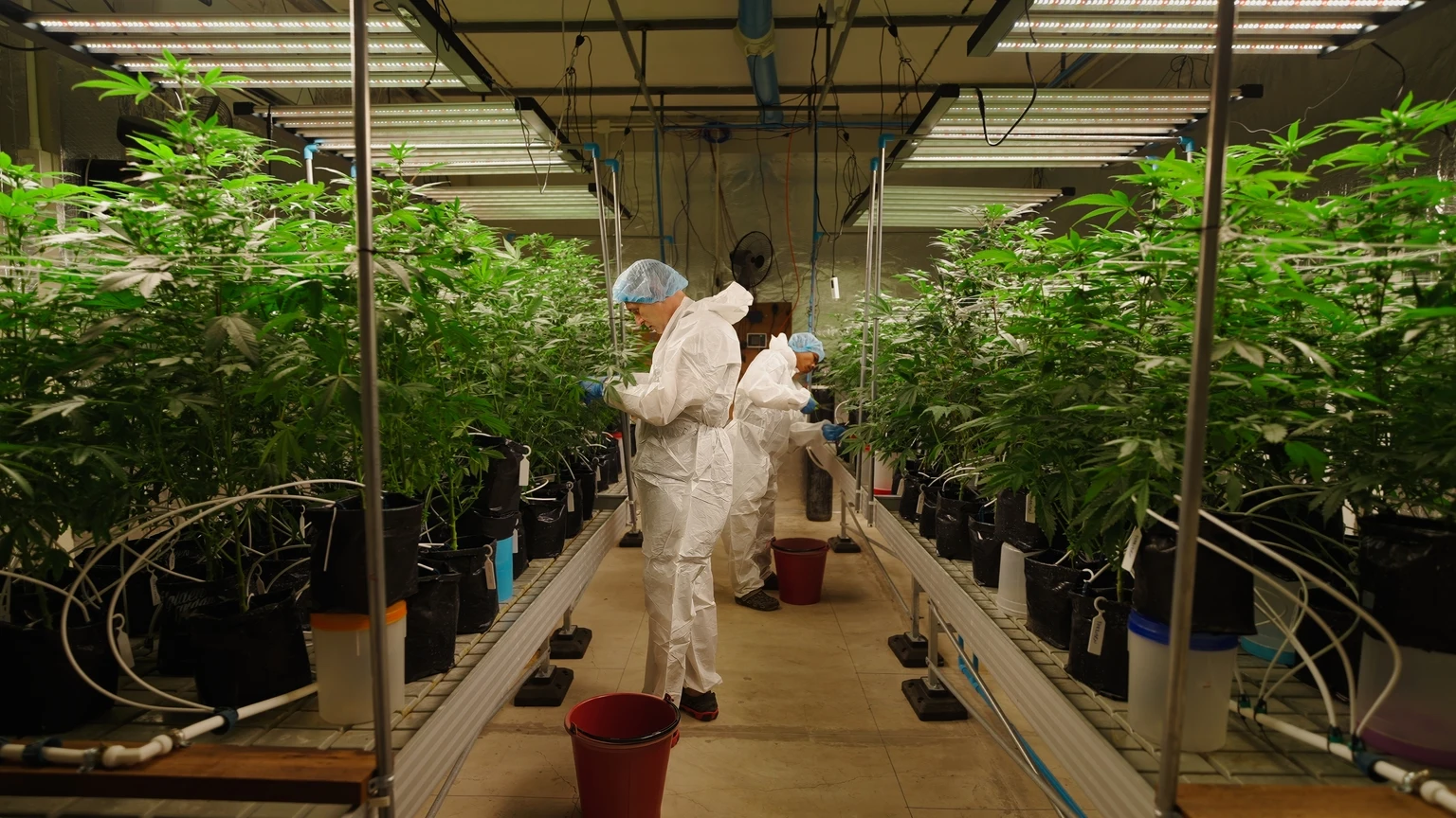 NewLake Capital Partners: An 11% Yield With A Major Catalyst On The Horizon