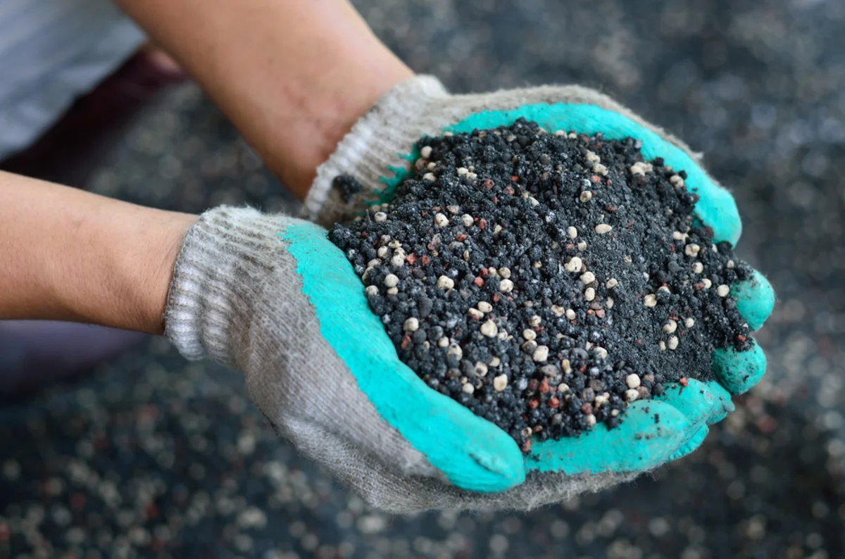 Nutrien (NTR) Dropped 15.4% in Q2: Why the Fertilizer Stock Could Be a Bargain