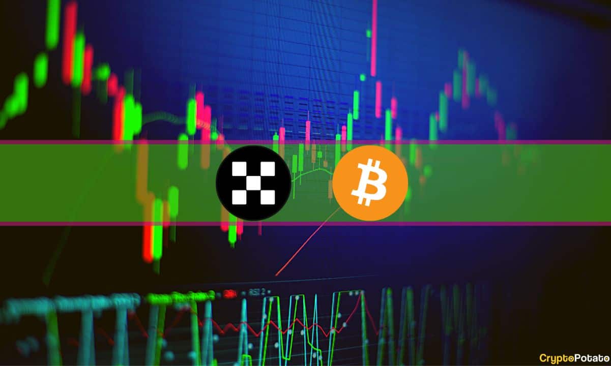 OKB Rockets 7% Daily, BTC Price Settles Below $64K: Market Watch