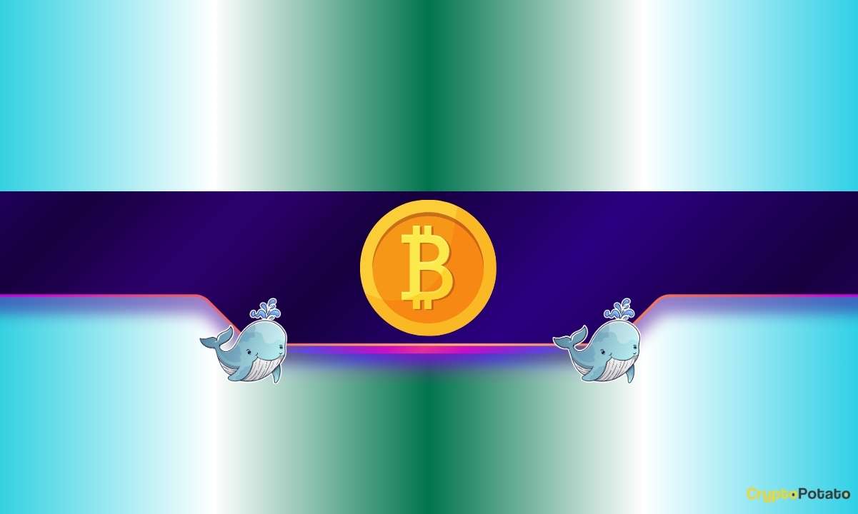 Over 70,000 BTC Distributed by Whales Amid Bitcoin’s Price Crash: Data