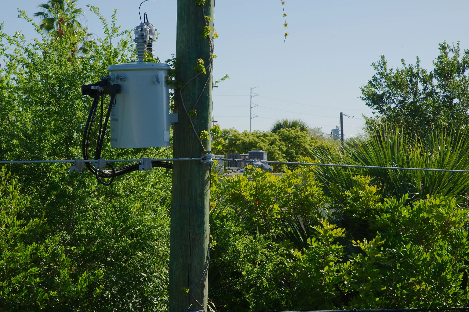 Powering AI: U.S. Electrification In 5 Charts