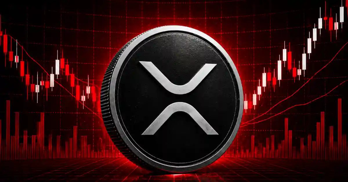 Ripple News: Canary Capital CEO Says XRP Will Win the Race for Financial Rails