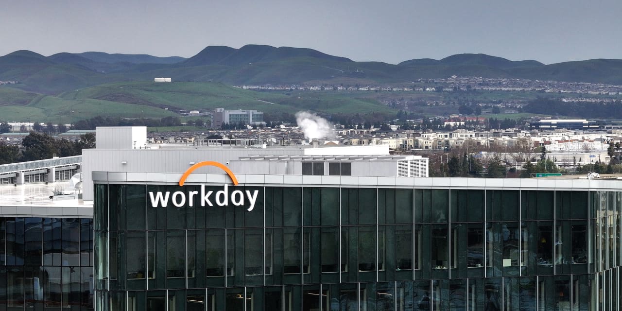 Software Is Beating Chips for Once. It May Not Be a Flash in the Pan.