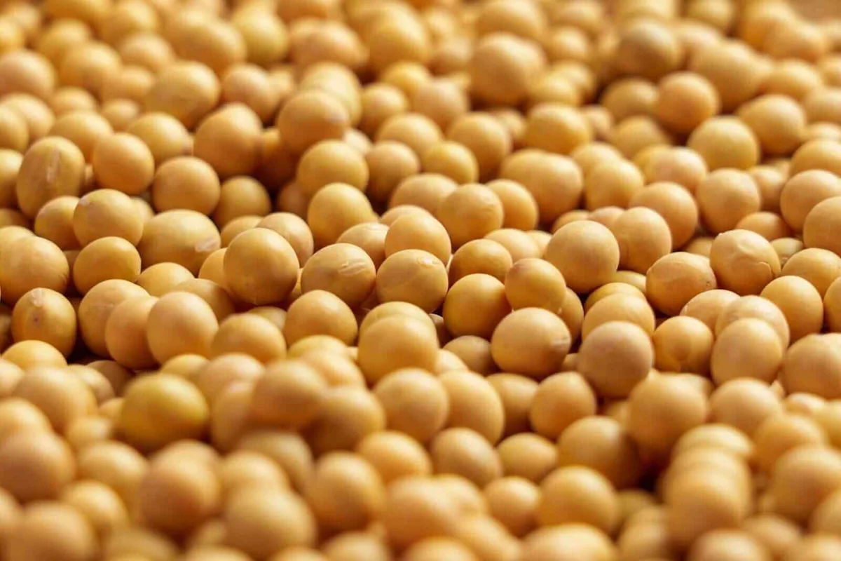 Soybean Oil Prices Fall as Crude Oil Slides Lower. 1 Trade to Make Here.