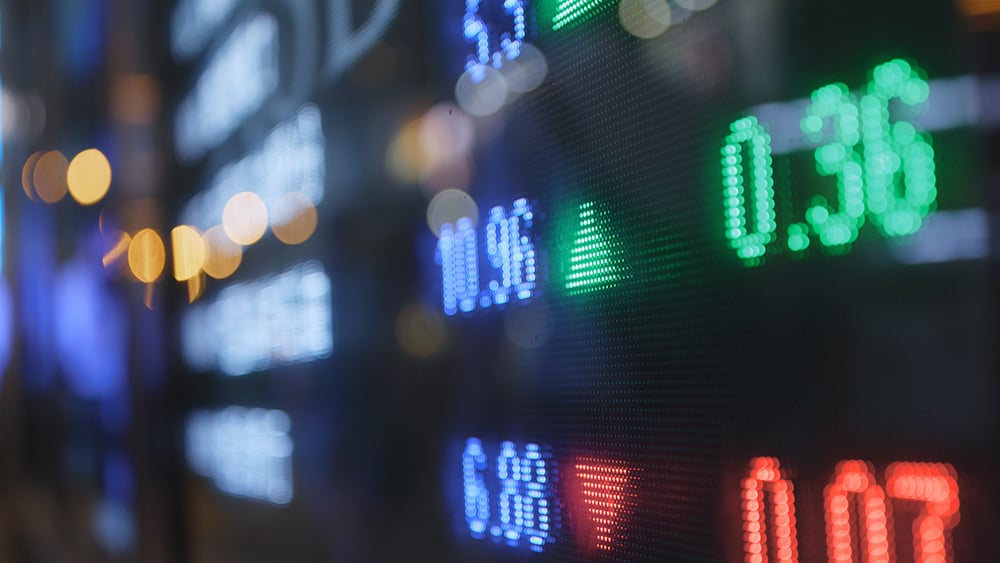 Stock Market Leaders Flourish Daily In IBD's Actionable New Highs Screen