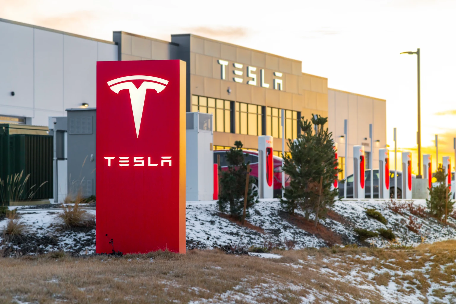Tesla: Execution Risks Mount