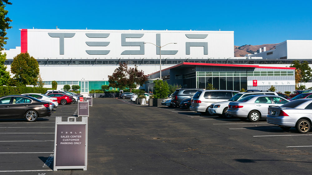 Tesla Expands Production In Germany, As VW Cuts 100,000 Jobs