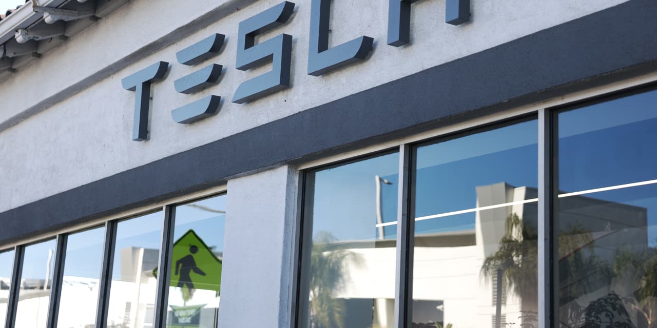 Tesla Keeps Falling and ARK’s Cathie Wood Keeps Buying