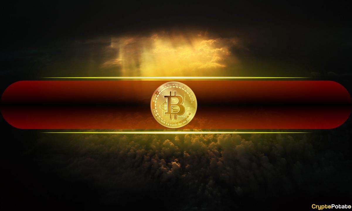 The Bitcoin Treasury Shakeout Has Begun: Which Companies Are Selling and Who’s Next?