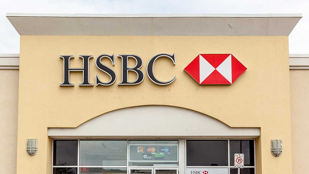 These Four Stocks Hit New Highs, And They're Not Tech Names