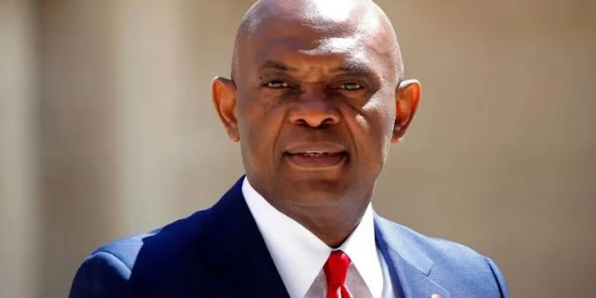 Tony Elumelu: Africa’s young entrepreneurs have great ideas. What they need is capital and business support