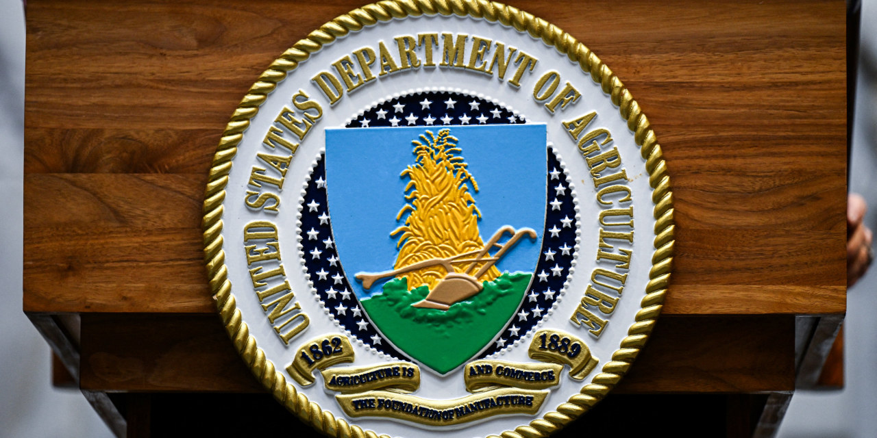 USDA Projects Larger South American Crops