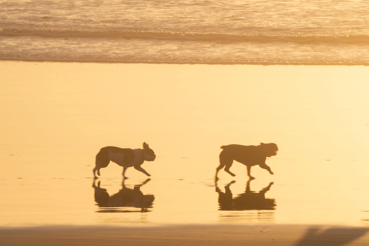 Verizon Leads July's 'Safer' Dogs Of The Dow; Nike Near 'Ideal'