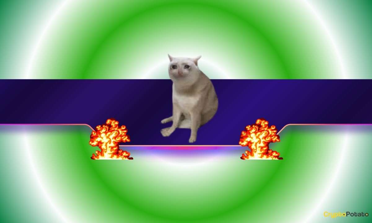 Viral Cat-Themed Meme Coin Explodes by 2,000% in a Week: What’s Behind the Madness?