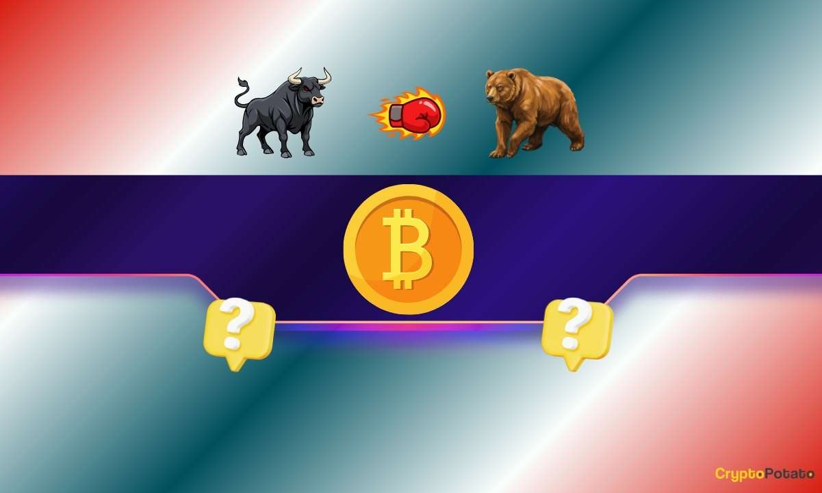 We Asked 3 AIs if BTC’s Bull Run Has Started After the 25% Surge to $80K: The Answers Encouraged Us