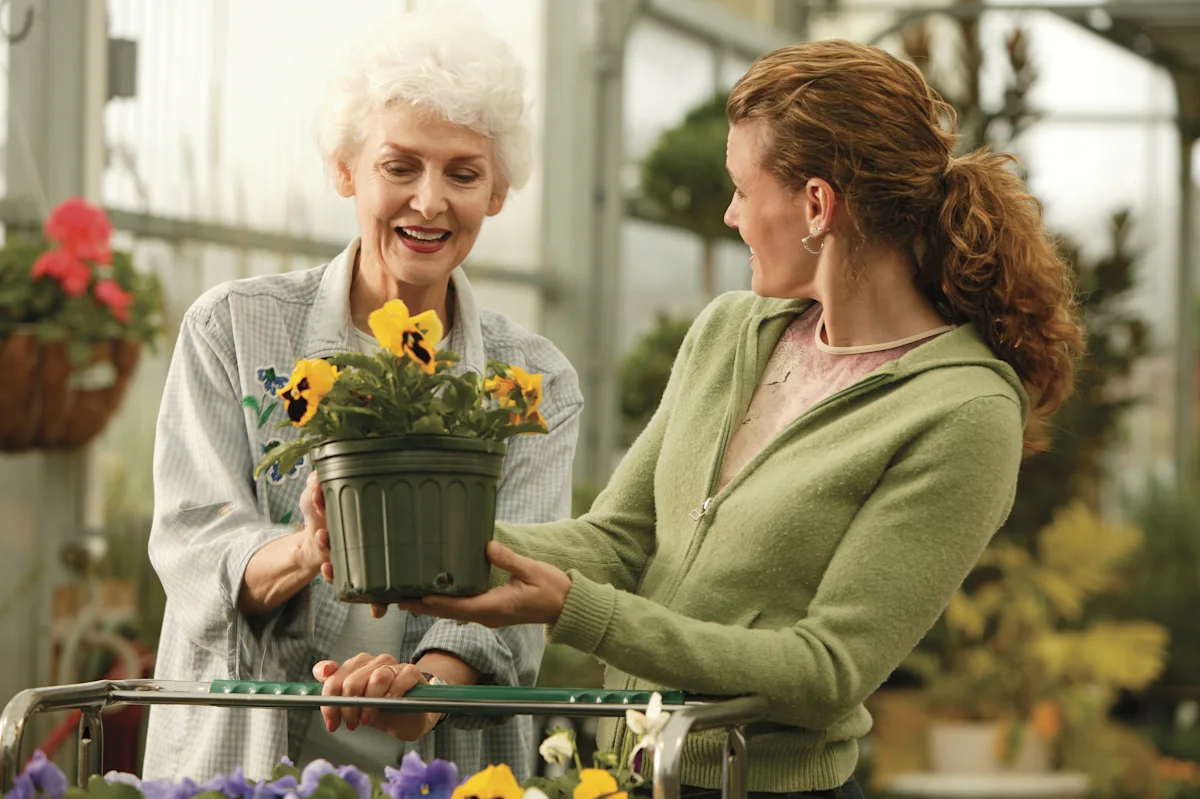 What is universal life insurance?